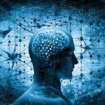 Revelan por qué el recuerdo del miedo se queda grabado en nuestro cerebro