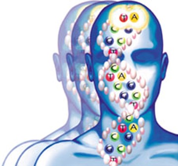 Dr. Carlos A. Genaro L.