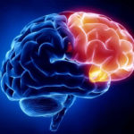 Las 3 mejores vitaminas para un cerebro saludable y fuerte