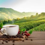 4 beneficios sorprendentes del café