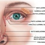 Aparato lagrimal ¿Qué es?