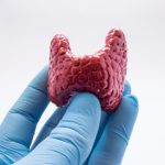 Dra. María Alejandra Duarte