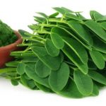 Moringa, el árbol milagro