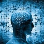 Qué es la Androginia Cerebral y qué beneficios podría tener