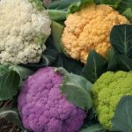 5 increíbles beneficios de la coliflor