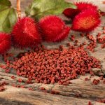 Onoto (Achiote), propiedades, beneficios, nutrientes y usos