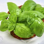 Albahaca: propiedades, beneficios y valor nutricional
