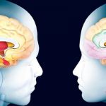 El amor te cambia el cerebro