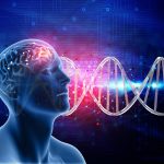 ¿Cómo funcionan las drogas/fármacos en nuestro cerebro?