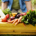 Beneficios de los alimentos orgánicos